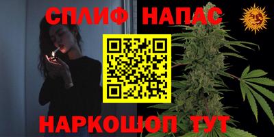 PSILOCYBIN Бугуруслан