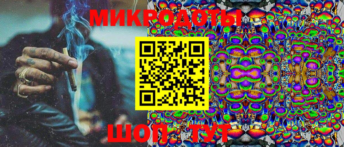 Галлюциногенные грибы Psilocybe Мурино